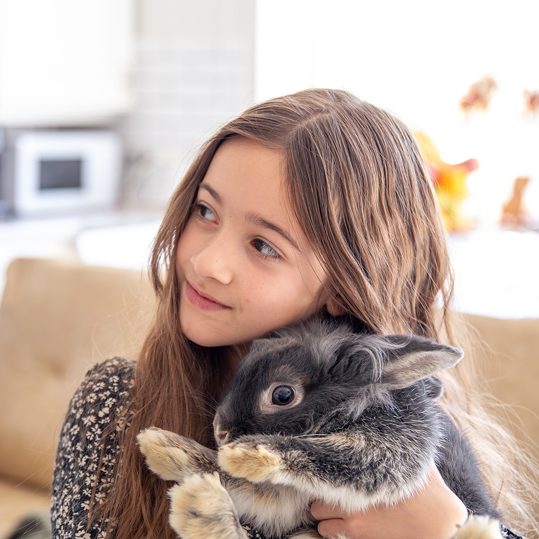 girl-with-rabbit A young girl holds her pet rabbit