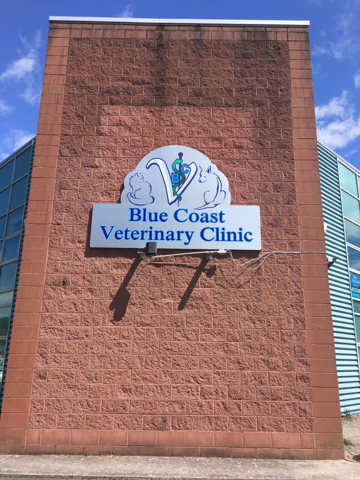 BCV front elevation logo BCV front elevation logo